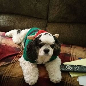 Meet your Posher, Paula